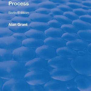 American Political Process Outlet Cheap Authentic