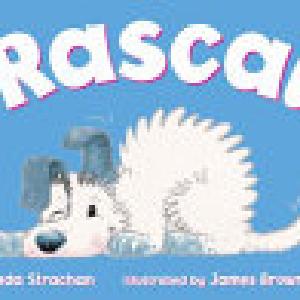 Rascal High Quality For Sale