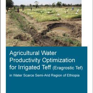 Agricultural Water Productivity Optimization for Irrigated Teff (Eragrostic Tef) in a Water Scarce Semi-Arid Region of Ethiopia Outlet Choice