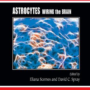 Astrocytes In China For Sale