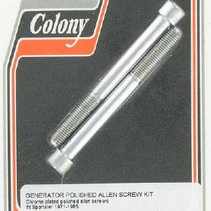 Generator screws (2), polished Allen | Color: chrome | Order Number: C8787-2-P | OEM Number: Cheap Buy Authentic