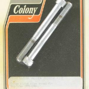 Generator screws (2), Allen | Color: chrome | Order Number: C8787-2 | OEM Number: Free Shipping Pay With Visa