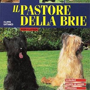 Il pastore della Brie Free Shipping Manchester Great Sale