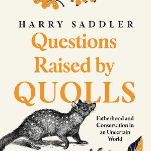 Questions raised by Quolls Cheap Sale Newest