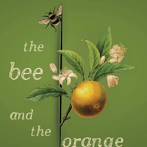 The Bee and the Orange Tree Cheap Pice Store