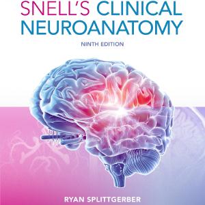 Snell's Clinical Neuroanatomy-9th Edition Discount Best Place
