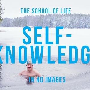 Self-Knowledge in 40 Images Clearance Affordable