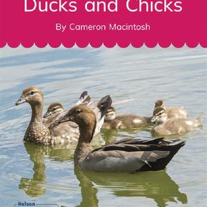 Ducks and Chicks (Set 7.2, Book 6) Genuine Online