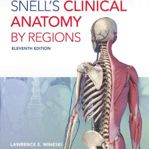 Snell's Clinical Anatomy by Regions-11th Edition Best Wholesale Cheap Pice