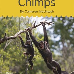 Chimps (Set 8.2, Book 7) For Sale Wholesale Pice