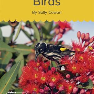 Birds (Set 11, Book 6) 2025 Sale Online