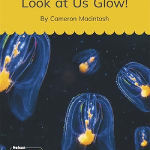 Look at Us Glow (Set 10, Book 8) Sale For Nice