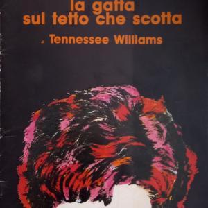 La gatta sul tetto che scotta (programma) Sale Cheap Pices