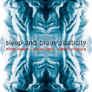Sleep and Brain Plasticity Cheap From China