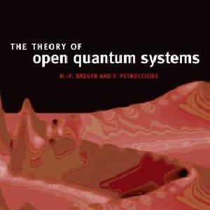 The Theory of Open Quantum Systems Footlocker For Sale
