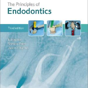 The Principles of Endodontics Discount Fast Delivery