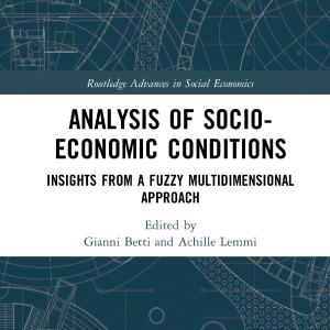 Analysis of Socio-Economic Conditions - Hardback Cheap Wiki