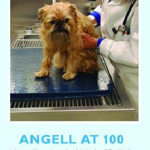 Angell at 100 - Hardback Fashionable