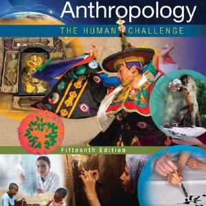 Anthropology : The Human Challenge Low Shipping Fee Online