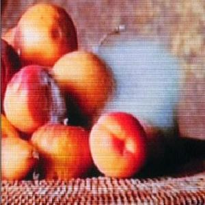 Learning to Look at Modern Art For Sale For Sale