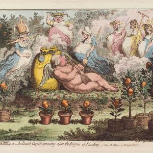 William V, Prince of Orange ('The orangerie; - or - the Dutch Cupid reposing, after the fatigues of planting') Portrait Print Cheap Browse