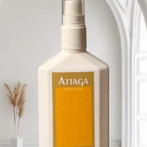 ATTAGA Everyday Miracle Treatment Sale Professional