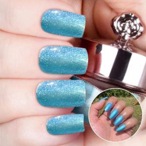 Polar - Classic Nail Powder Discount Countdown Package