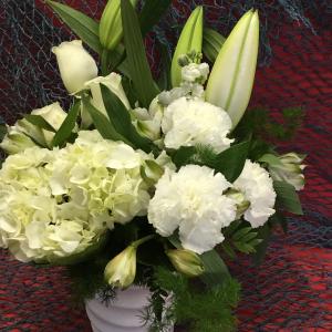 warm beach wonder Free Shipping The Cheapest