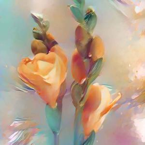 Language of Flowers Outlet Clearance