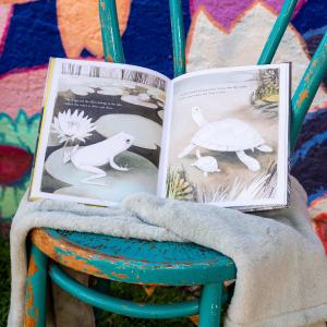 You Belong Here Book Outlet For Sale