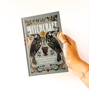 Wild Witchcraft Comfortable Cheap Pice