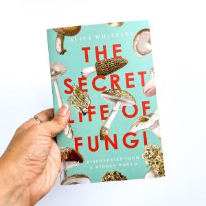 The Secret Life of Fungi Best Store To Get Sale Online