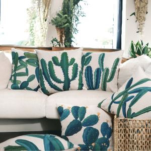 Succulent Line Very Cheap Cheap Online