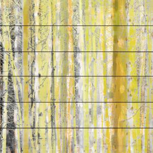 Aspen Forest 2 Latest Sale Online