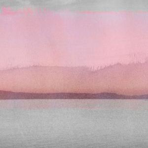 Bien Venue From China Sale Online