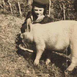 (Karin) Judith Henderson (ne Stephen) and pig 'Celestino' Greetings Card Discount Latest Collections