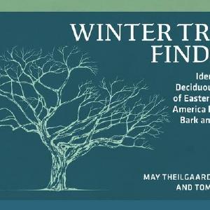 Winter Tree Finder Cheap 2025 Newest