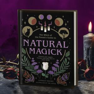 Witch of the Forest's Guide To Natural Magick Ebay Cheap Pice