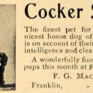 1907 Ad F.G. Macintosh Cocker Spaniels Breeding Pricing - ORIGINAL CL9 Geniue Stockist Cheap Pice