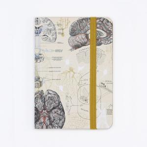 Brain Observation Softcover Free Shipping Release Dates