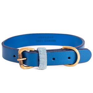 College Collar - cobalt 2025 New Cheap Pice
