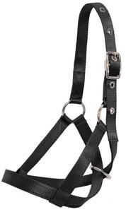 Web Calf Halter Discount Sale Online