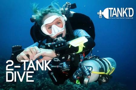 2-Tank Dive Afternoon Cheap Outlet Store