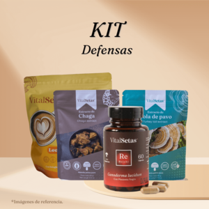 Kit Defensas Free Shipping Cheap
