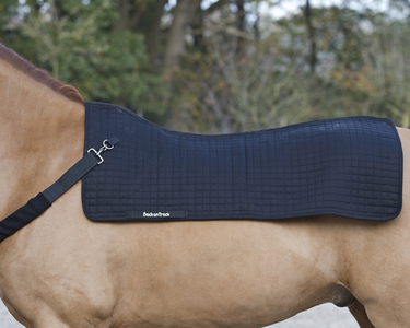 Horse back warmer Clearance Huge Surprise