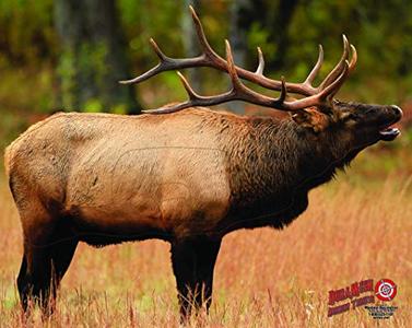 Duramesh Archery Targets Elk #1, DM206 / DM406 Online Sale