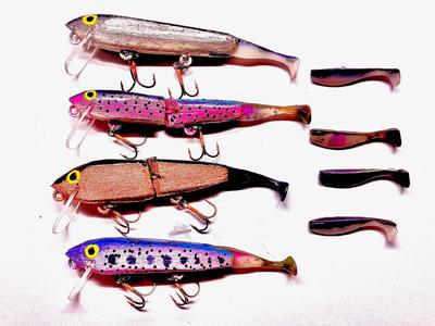 AC Trophy Rainbow Trout Kit Free Shipping Marketable