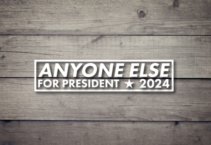 Anyone Else '24 - Vinyl Decal Outlet 2025 New