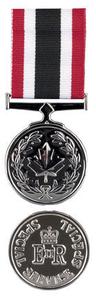 (SSM) Special Service Medal Miniature Shop Sale Online