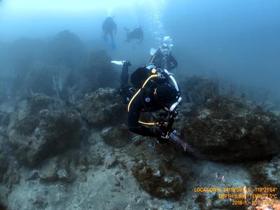 Drift Diver Specialty Course Clearance Fake